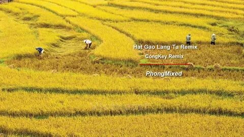 Làm Video Ngắn – Vừa Sáng Tạo, Vừa Kiếm Tiền Với Công Cụ Hữu Ích_khóa học cơ bản về digital marketing